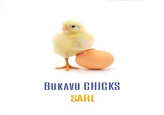 Bukavu Chicks
